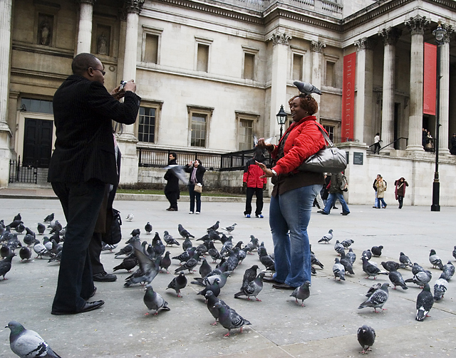 Trafalgar Square - photographing pigeons
